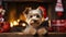 dog sitting in front of a fireplace with Christmas stockings , allow copy space, christmas banner, bright palette