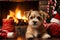 dog sitting in front of a fireplace with Christmas stockings , allow copy space, christmas banner, bright palette