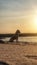 a dog sitting in the middle of a sandy area