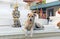 A dog sitting next to a statue of Big Buddha