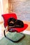 Dog sitting on red chair. Mixed breed dogs is resting, laying an