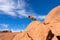 Dog sitting on red rock cliff in nevada