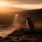 A dog sitting on a rock