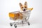 A dog sitting in a small shopping cart