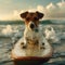 a dog is sitting on a surfboard in the ocean