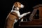 dog, sitting on top of grand piano, with its paw reaching out to touch the keys