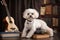 dog, sitting on top of stack of books, with pop star outfit and guitar in the background