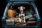 Dog sitting trunk car trip. Generate Ai