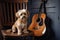 dog, sitting on wooden rocking chair, with guitar in its paws