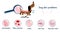 Dog skin problems.Infographics icons with different symptoms, allergy, pimples and scabs.