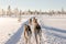 Dog Sledding in Lapland