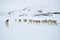 Dog sledging trip