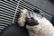 Dog sleeping on heater