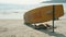 Dog sleeping under Surf Rescue surfboard