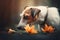 a dog sniffing a bunch of flowers on the ground in the sun