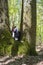 Dog sniffing a tree trunk