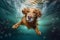 dog snorkeling fun puppy funny swimming underwater vacation water pool. Generative AI.