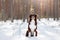 Dog in the snow in nature. Australian shepherd in winter