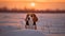 Dog in the snow. Portrait of beagle dog on sunset background in winter.