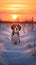 Dog in the snow. Portrait of beagle dog on sunset background in winter.