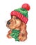 The dog is spaniel in a knitted hat. The symbol of the year is a dog. Christmas watercolor picture with dog, isolated