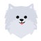 Dog spitz head icons.Vector illustration in flat stile