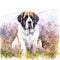 Dog_St_Bernard_Serenity_Watercolor1