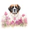 Dog_St_Bernard_Serenity_Watercolor3
