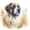 Dog_St_Bernard_Serenity_Watercolor4