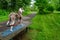 Dog standing on a bench to get a better view of trail