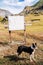 A dog standing near an empty white roadside banner