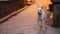 Dog standing in a street in Varanasi and barking before leaving.