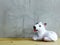 Dog statue ceramic with space copy on wooden background