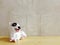 Dog statue ceramic with space copy on wooden background