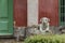 Dog statue guarding the entrance of the historic La PorteÃ±a mansion