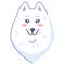 Dog sticker, cute emoticon. Samoyed dog smile. The pet smiles pretty. Emoticon for social networks. White dog