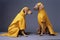 dog stylish latex fashion animal funny pet art concept colourful. Generative AI.