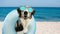 Dog summer going on vacation to beach inside of blue inflatable float pool and wearing sunglasses. Happy expression