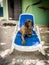 Dog on a sunbed