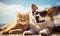 Dog in sunglasses and a calm cat enjoy a peaceful. AI generative