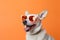 dog  sunglasses funny portrait smile background animal pet stylish cute. Generative AI.