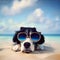 A dog with sunglasses resting on the beach