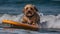 A Dog With Sunglasses Surfing At The Beach. Generative AI