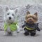 Dog superhero Costume on the bed. Yorkshire terrier and puppy of west highland white