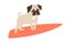 Dog surfers, vector cartoon illustrations
