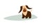 Dog surfers, vector cartoon illustrations