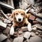 Dog surviving an earthquake - ai generated image