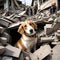 Dog surviving an earthquake - ai generated image