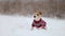 Dog in a sweater. Snowing. Jack Russell Terrier waiting for the New Year. Christmas concept. Portrait of a pet against a