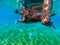 Dog swim in blue sea water, underwater photo. Dog bathing in tropical sea. Summer vacation travel with pet